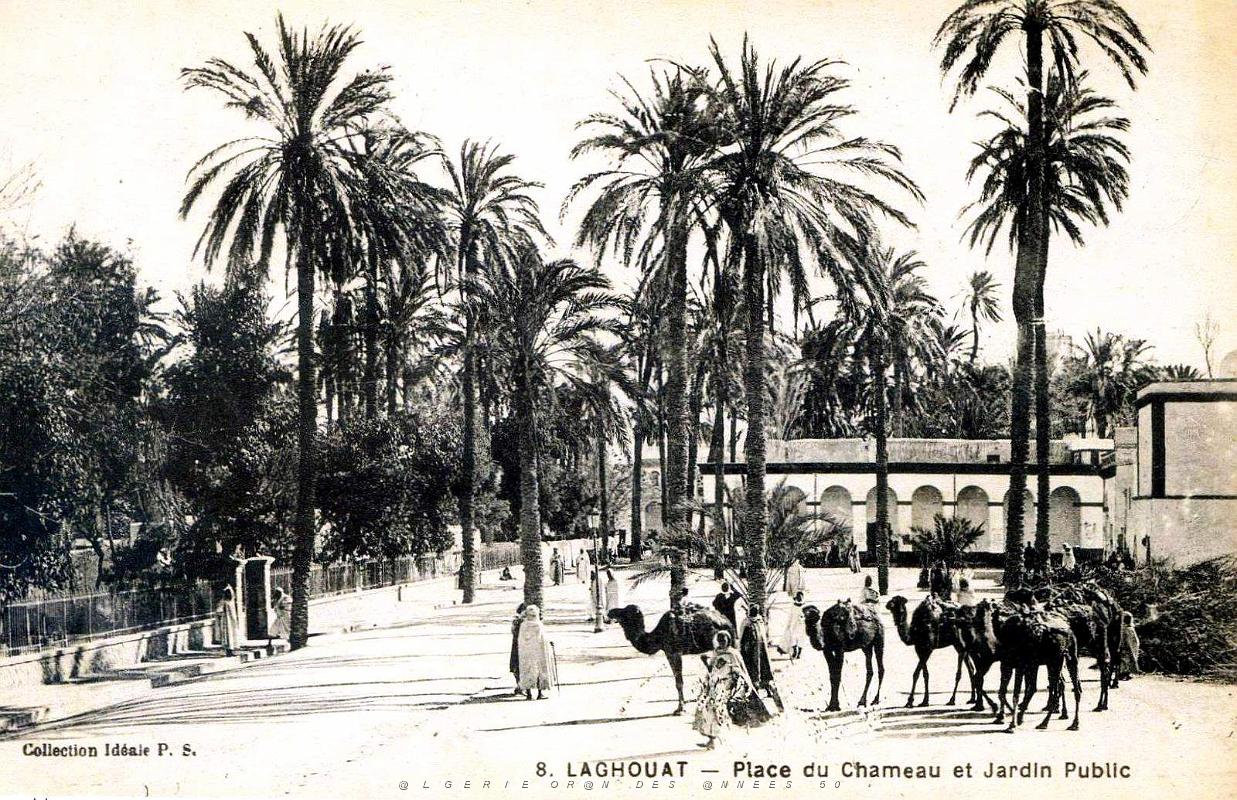 Laghouat - Place du Chameau et Jardin Public.jpg